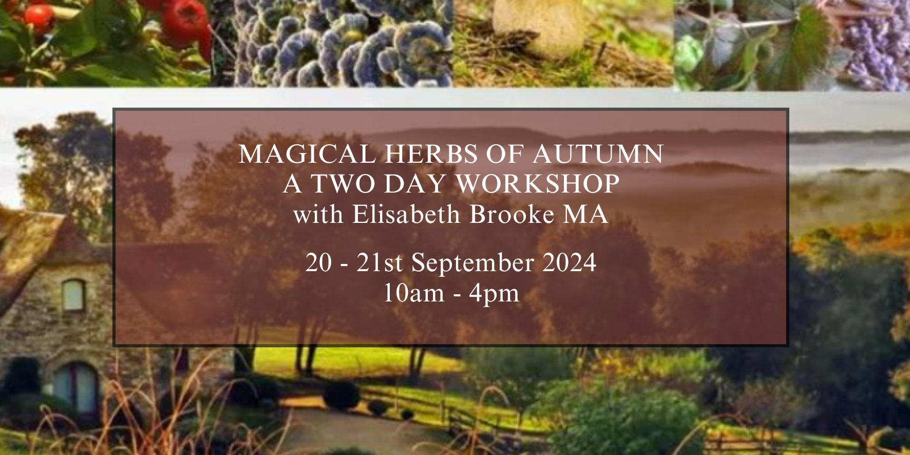 Magical Herbs of Autumn with Elisabeth Brooke